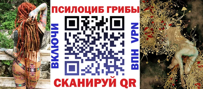 Галлюциногенные грибы Psilocybine cubensis  Миньяр 